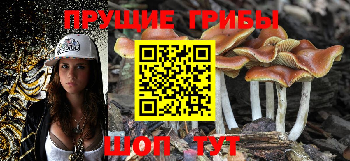 Балашиха  Галлюциногенные грибы Psilocybe  Вход с VPN  Псилоцибиновые грибы ЛСД 
